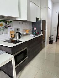 Sims Urban Oasis (D14), Condominium #564185941
